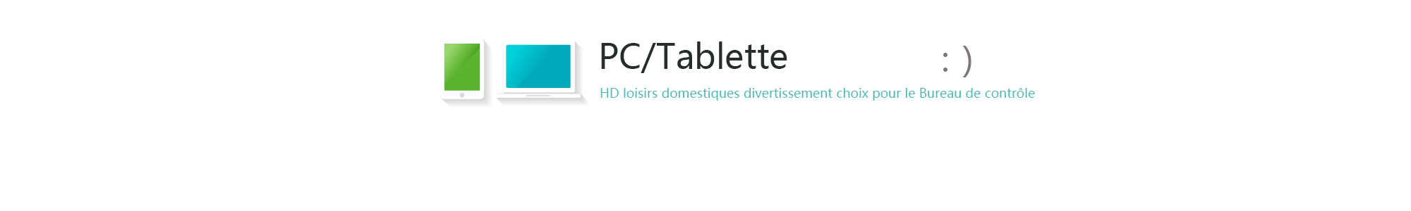 L401 Ordinateur portable